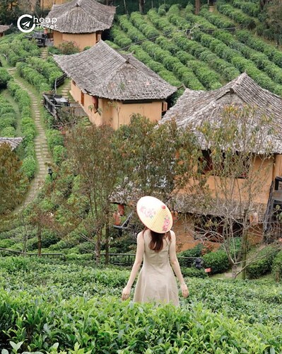 FB_IMG_1753414807685