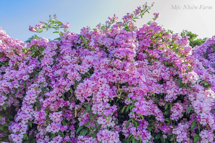 FB_IMG_1758501429095