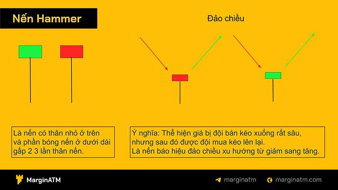 mô hình nến hammer