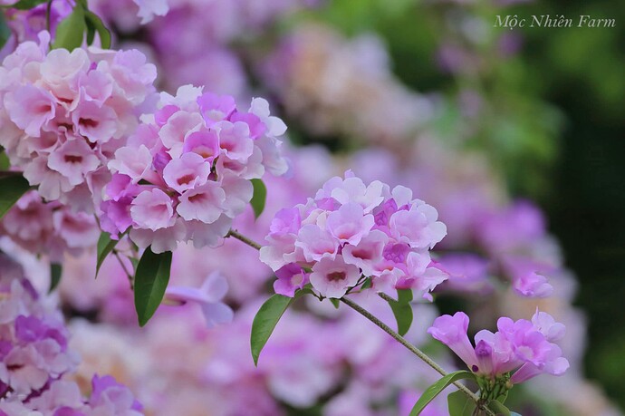 FB_IMG_1758501416671