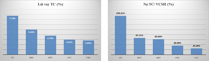 FMC Nợ tái chính Q4.2024