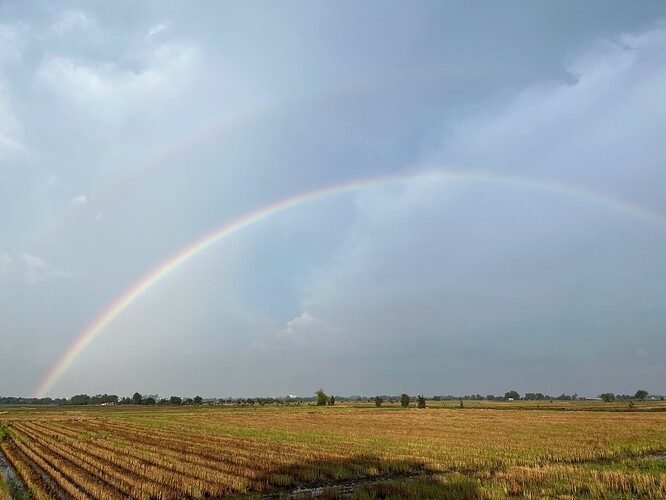 z5718143877901_e582831c0e6c6a22bc8504423083e83e