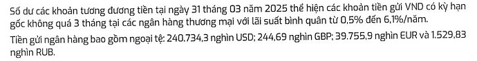 PVS tồn ngoại tệ 31.03.2025