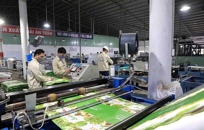 Thuận Đức (TDP): Doanh thu xuất khẩu hồi phục 40%, lãi sau thuế tăng 65% trong quý I/2024