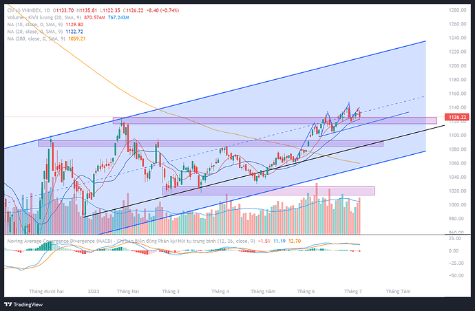 VNINDEX_2023-07-07_06-29-50