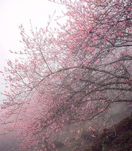 FB_IMG_1739705148990