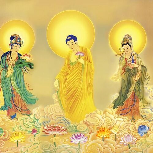 IMG_20240518_162458_237