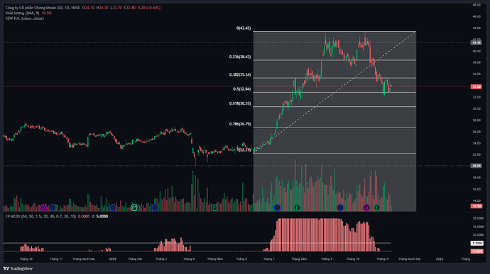 SSI_2025-11-11_13-25-15
