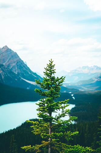 photo-1598896189857-ea965a5e1e12