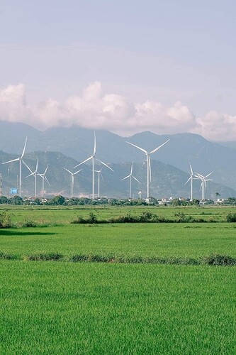 FB_IMG_1733034964921