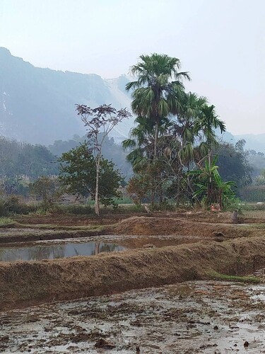 FB_IMG_1768903192654