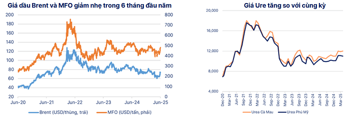 Ảnh chụp màn hình 2025-06-26 104435