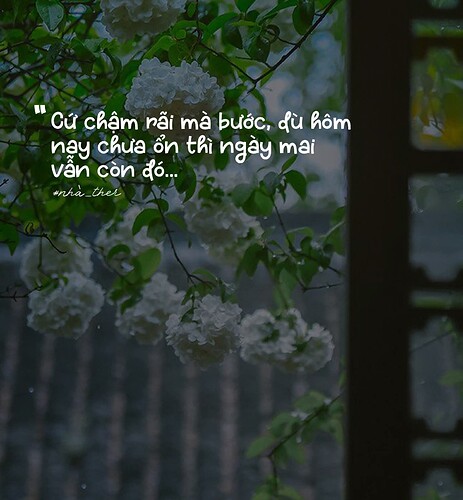 FB_IMG_1753892009870