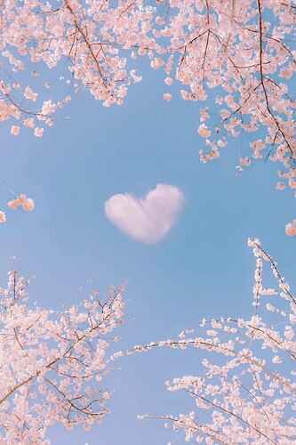 FB_IMG_1739012015342