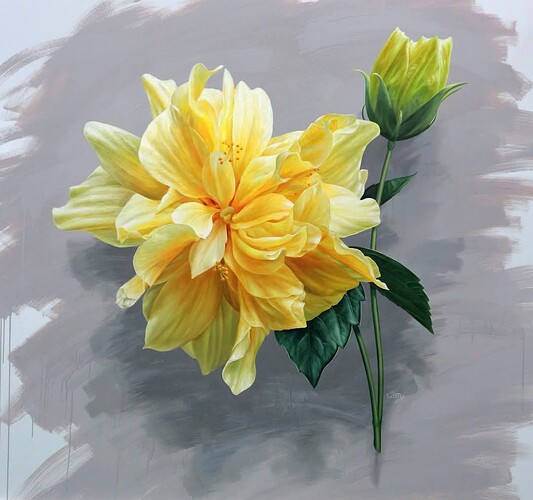 FB_IMG_1746412597527