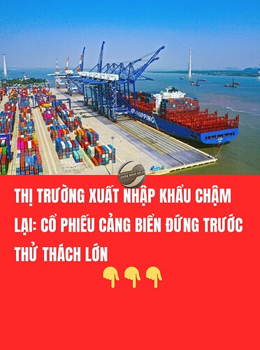 Thêm tiêu đề (15)