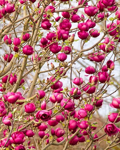 FB_IMG_1739502060575