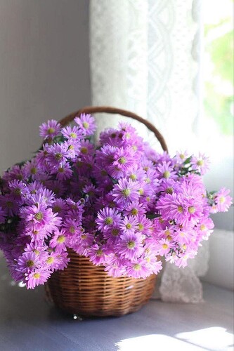 FB_IMG_1743160759744