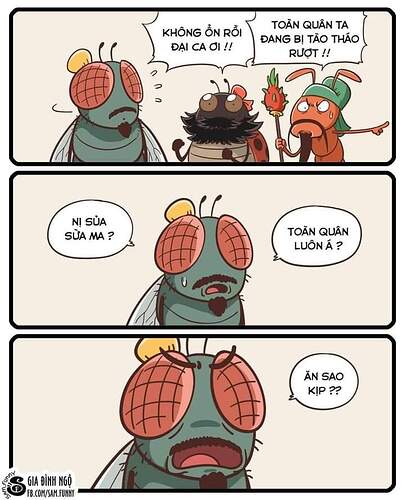 FB_IMG_1731226976810