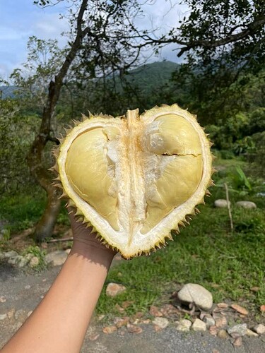 FB_IMG_1754532557479