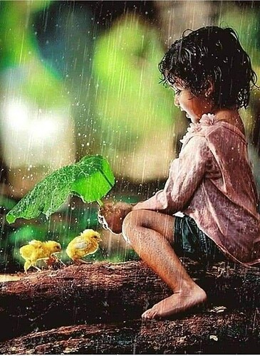 FB_IMG_1748994328706