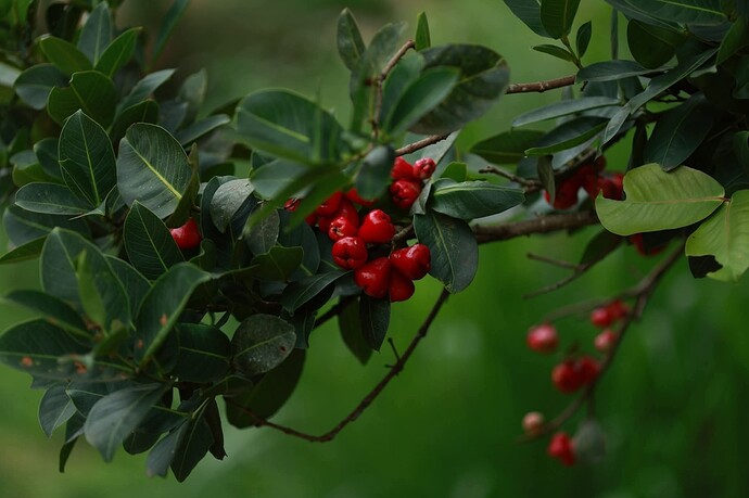 FB_IMG_1758586897629