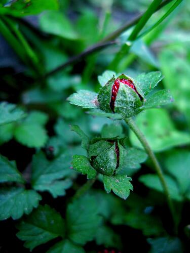 921174_151854051654071_1084627800_o_151854051654071