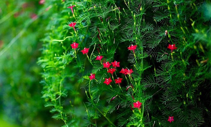 FB_IMG_1756880646518