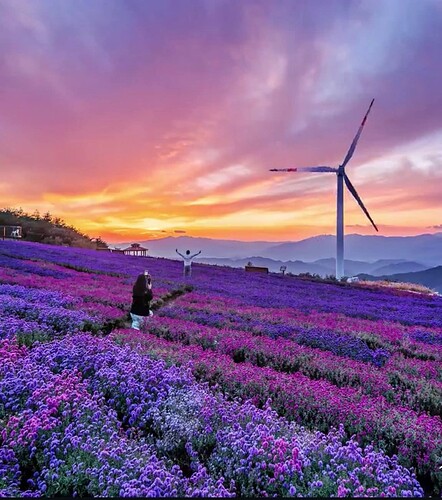 FB_IMG_1757033740610