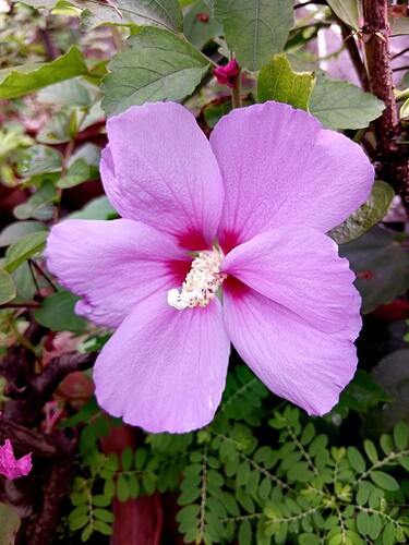 FB_IMG_1751277918115