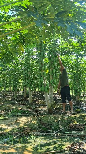 FB_IMG_1741571328012