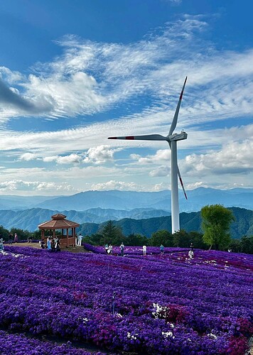 FB_IMG_1759815209261