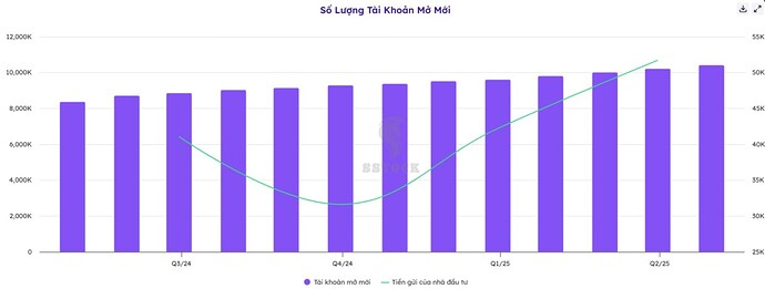 VND: Ông lớn chứng khoán tung “con át chủ bài” nửa cuối 2025!. I. Tổng quan doanh nghiệp. II. Kết quả ...