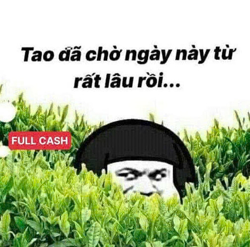 981beb5c-d906-46bb-9690-673d3c141f34