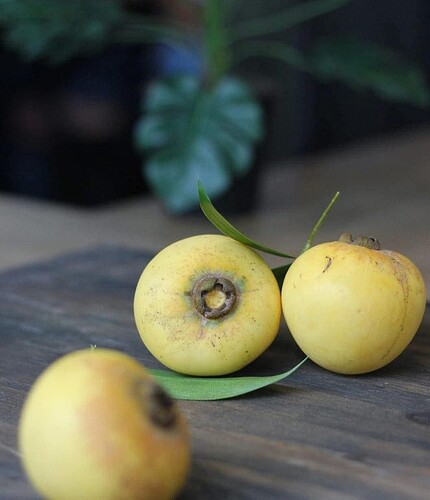 FB_IMG_1753151585535