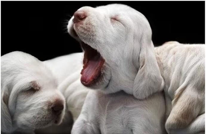 Screenshot_2023-03-02-10-30-58-160-edit_com.android.chrome