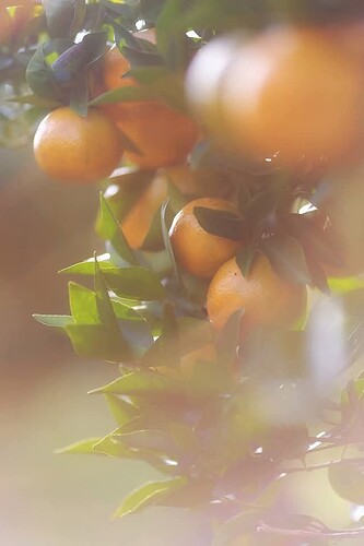 FB_IMG_1743690624224