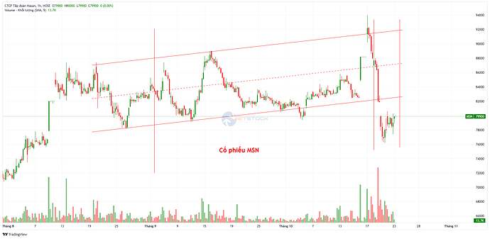 HOSE_MSN_2025_10_23-10-00-28