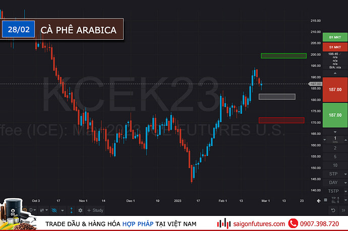 tvf-news-28-02-arabica-2