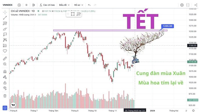 z4941651050007_07415623600f4efda150edc0354f7bc2