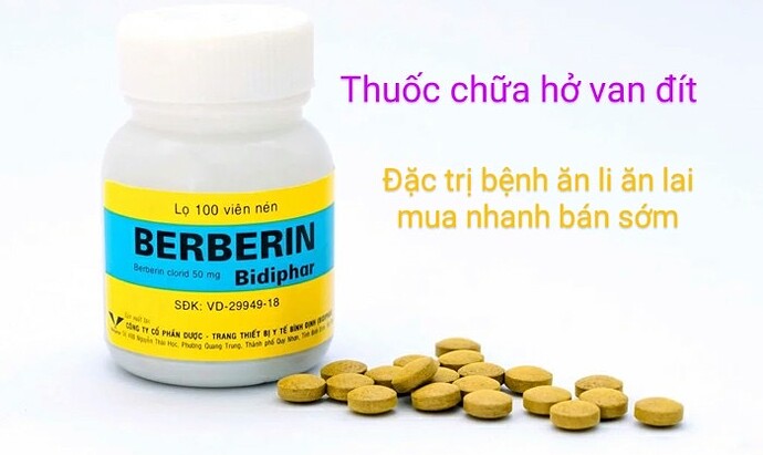99b17174776b7b408d282a5ea6320f71