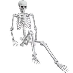 skeleton