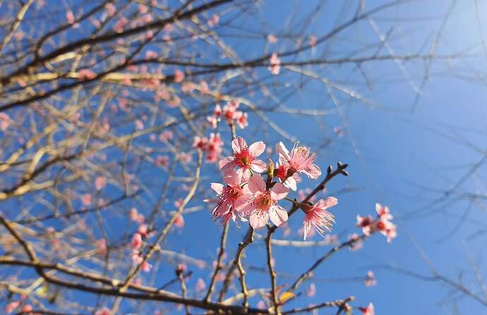 FB_IMG_1708962523746