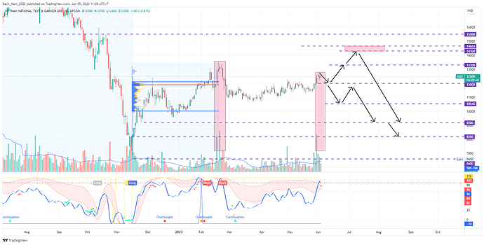 VGT_2023-06-05_11-05-13_66199