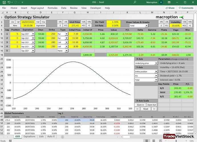 Option Strategy Simulator - Phương pháp đầu tư thành công ( Trade Việt Stock )