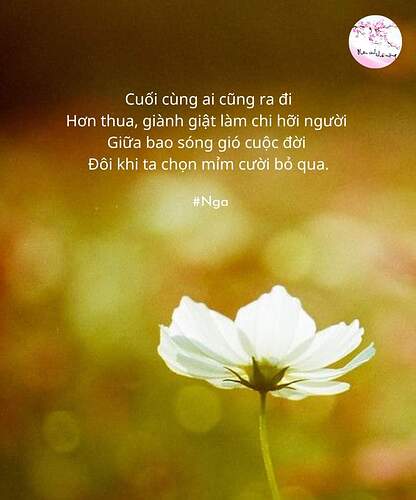 FB_IMG_1712194174065