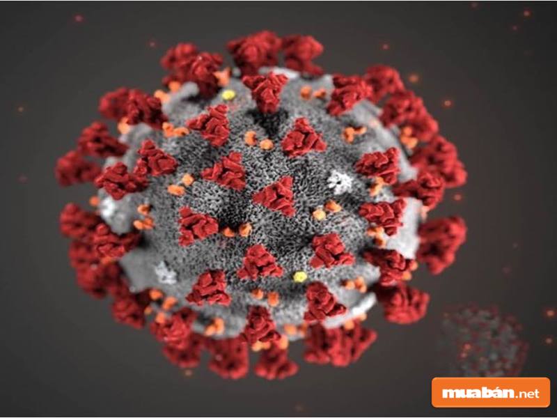 Dịch Covid lây lan cũng tác động mạnh tới thị trường