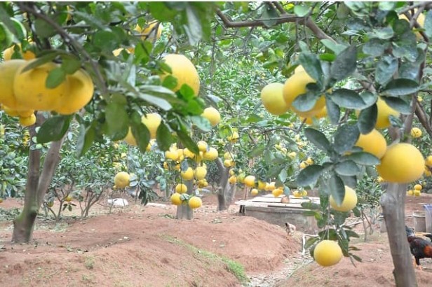 Screenshot_2022-06-19-20-38-05-78