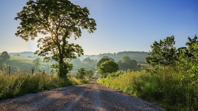 Road-trees-sun-rays-village-morning_5120x2880