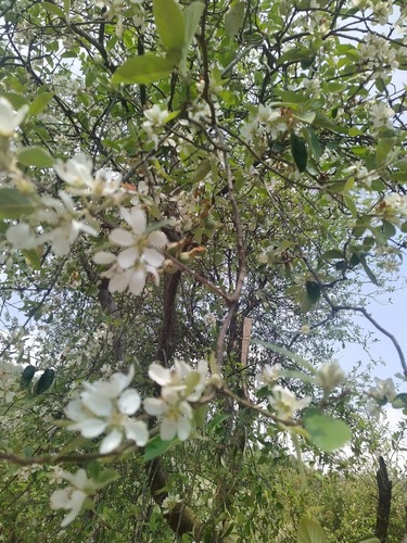 IMG_20210314_140108_1